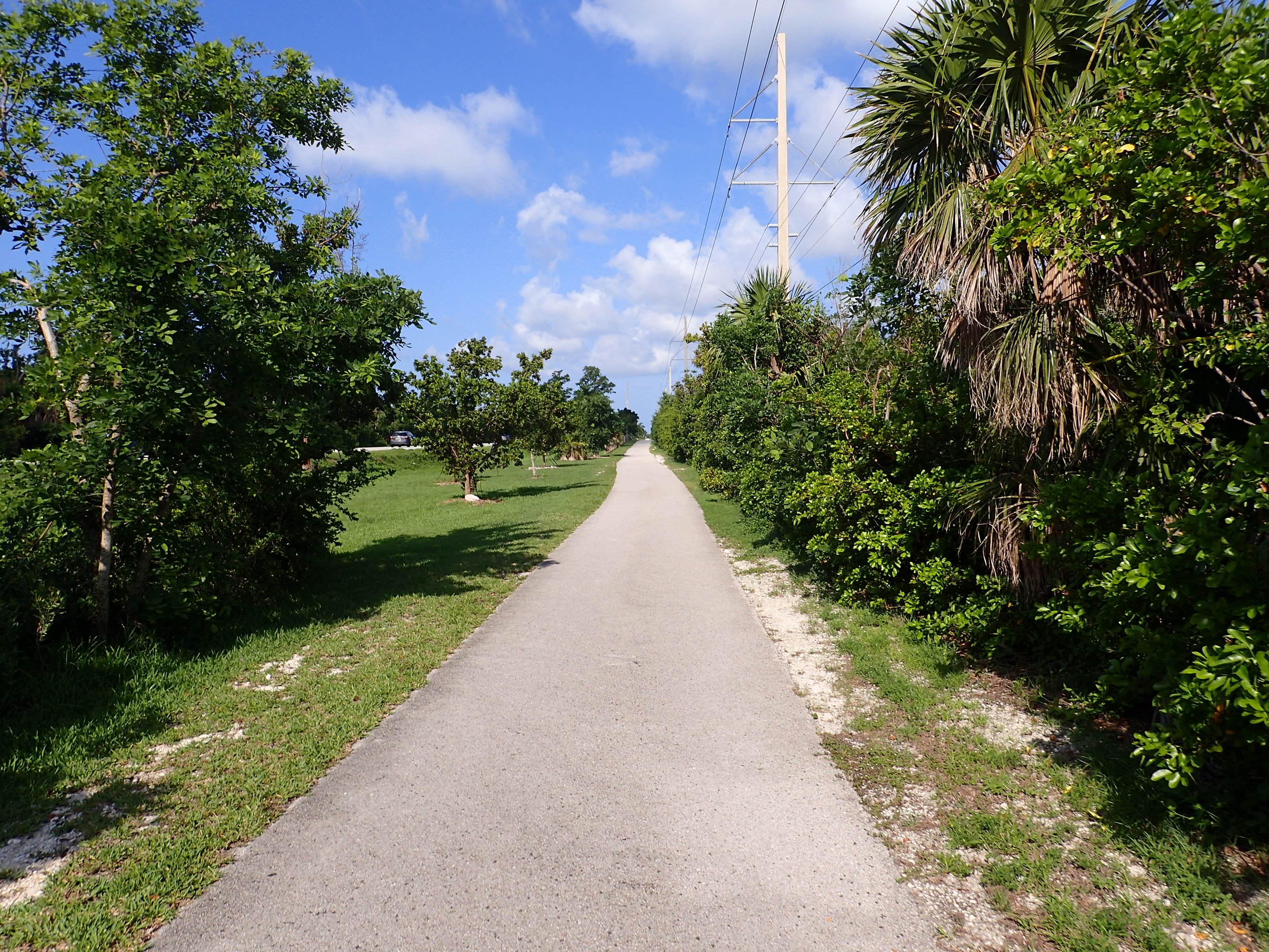 Biking the Florida Keys Overseas Heritage Trail Florida State Parks